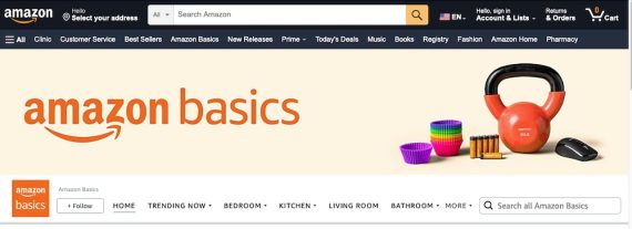 Capture d'écran de la page Amazon Basics.